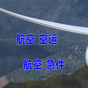义勒力特航空邮寄快递-选东方航空和上海航空