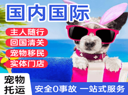 义勒力特航空邮寄国际宠物托运 【国